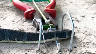 How to caught a dangerous through new tricks Trapes#Creatorsearchinsights #snake #snakes #snakevideo
