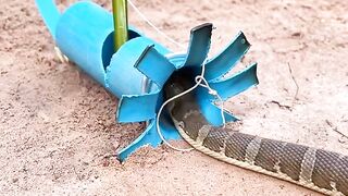How to caught a dangerous through new tricks Trapes#Creatorsearchinsights #snake #snakes #snakevideo