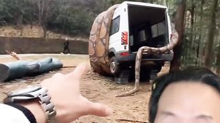 #duet with @thegemsfamily I’m so glad he was pointing the snake out to us. #snake #realorsus