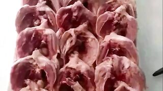 Quails