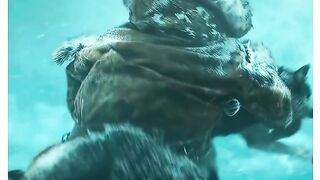 This brave dog saved them ????????????????❤️????.