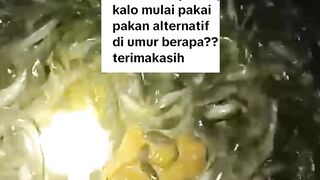 Jangan bertanya seperti ini karena itu salah, sini saya luruskan