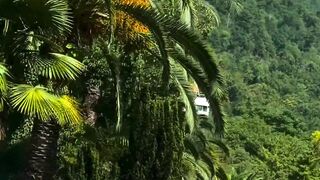 Gagra, Abkhazia, Russia ????????