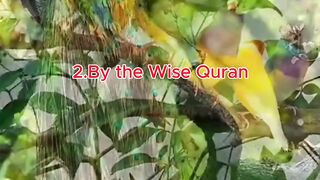 Surah Yaseen English Translation