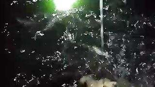 Pakan alternatif EMON REBUS, ada yang belum tau, tonton video ini