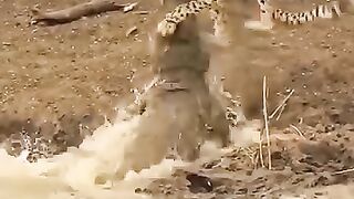 If nature doesn't teach you forget about