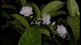 Ramadan bayan :)