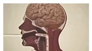 A clip explaining the health benefits of fasting