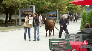 Just for laughs????#prank #funny #foryou #duet #viral