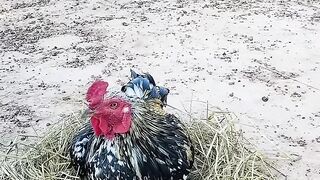 I have tried everything to earn it everyday...????funny video #funny #Comedy #trending