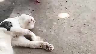 BERTEMAN BELUM TENTU BERSAHABAT