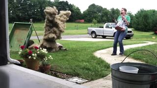Best Pranks of the Week ???? Funniest Prank Videos