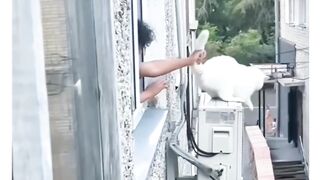 قد تموء بعض القطط بحماس، أو تفرك ساقيك، أو تحاول