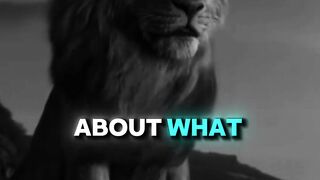 I do not care what others think of me. Best Motivational Quote. Lion Mindset. #listentothis #motivationaltiktok