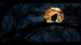 he Scariest Night In My Life with my Date (Halloween Night)..