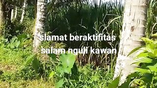 Pejuwang rupiah buruh tani