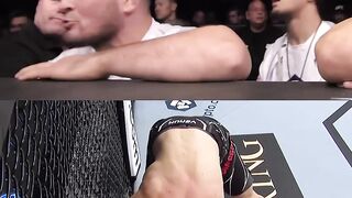 What a fight !