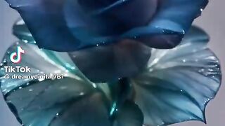 #love #song #flowers.mp4