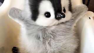 Viral 1