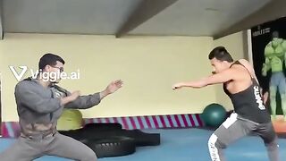 Martial artist fight