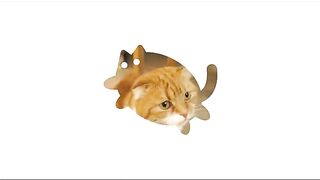 Cat 32