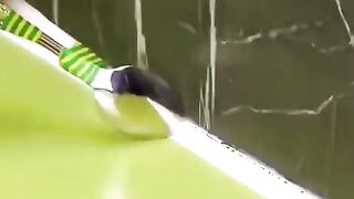 قد تحتادها يوما
