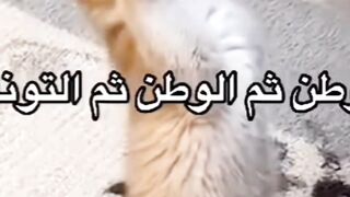 أن الإفراط في تناول الأسماك يمكن أن يؤدي إلى اختلالات