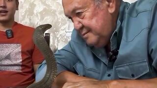 #serpiente#trucazo