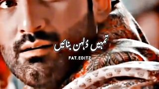 New amazing video