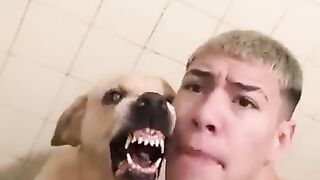 The Best Angry Dogs???? and Crazy Cats???? Funny Videos 2022