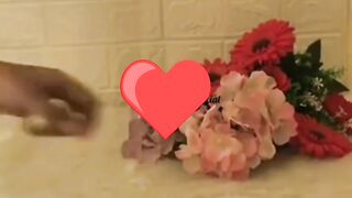 Happy birthfay// trending//gift#love