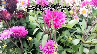 New Recitation Of Surah Al Qamar With Urdu Translation | surah qamar inspired by Qari Abdul Basit