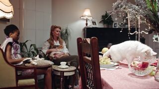 Funny cat destroy all food