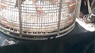 kala teeter