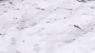 beautiful view snowfall