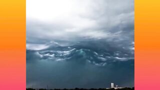 Most Satisfying Oddly Videos