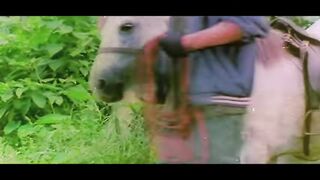 Friends in forest for entertainment