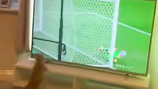 FUNNY SHORTS