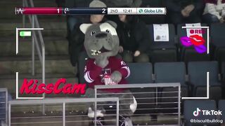 TikToks That Are FUN And Crazy