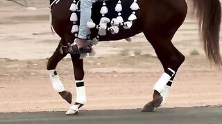 Beautiful Arabian Horse dance _arabianhorse _horseriding _horse