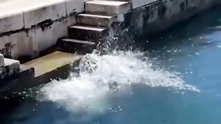 ضحك حتى الموت مع اقوى موقف مضحك فى حمام السباحه