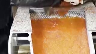 Why Are They Cutting Open These Fish? The Shocking Truth!