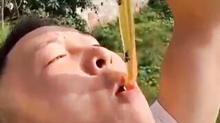 3,500-Year-Old Honey?! The Shocking Reason It’s Still Edible!