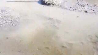 Khusus kolam TANAH, lakukan perlakuan ini walaupun 1 tahun sekali