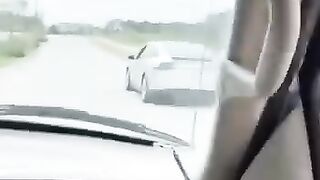 DOG AUTOMÁTICO
