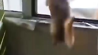 AHORA QUE? Firu encerrado