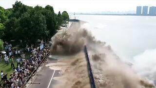 Incredible Moments Caught On Camera