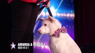 Magical dog proves MIRACLES do exist