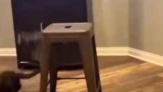 فل صغير، فإن الإشراف والتعريفالتدريجي