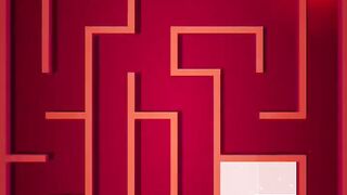 Puzzle Maze